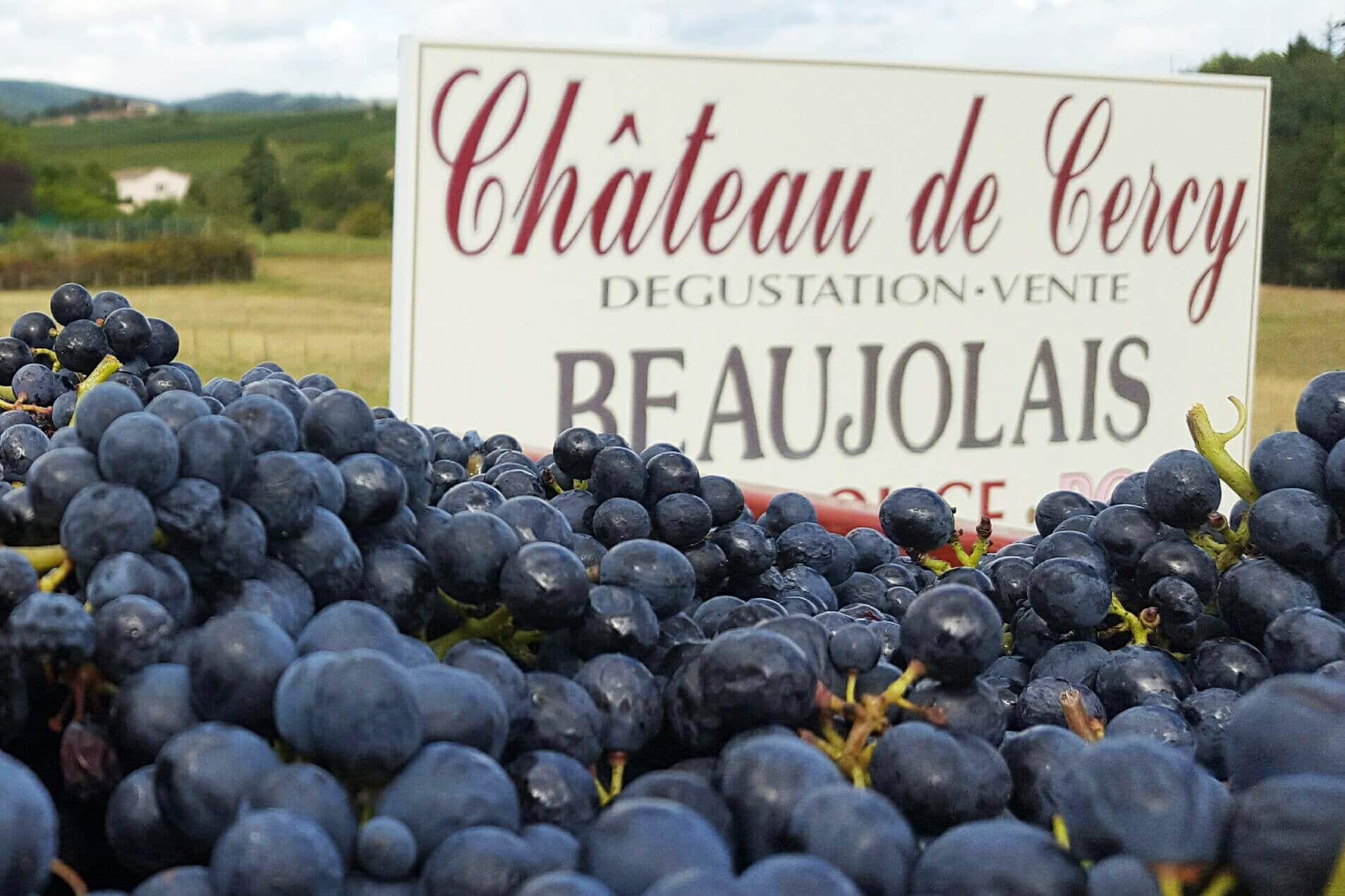 raisin-chateau-cercy